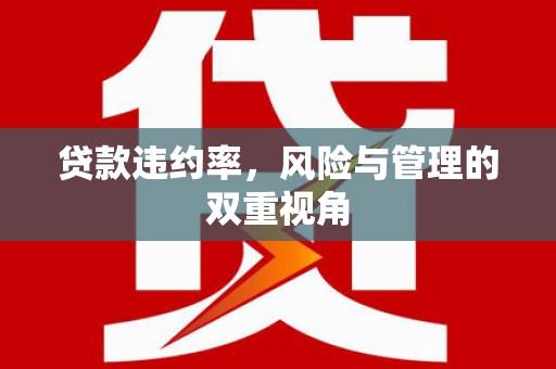 两当贷款违约率，风险与管理的双重视角