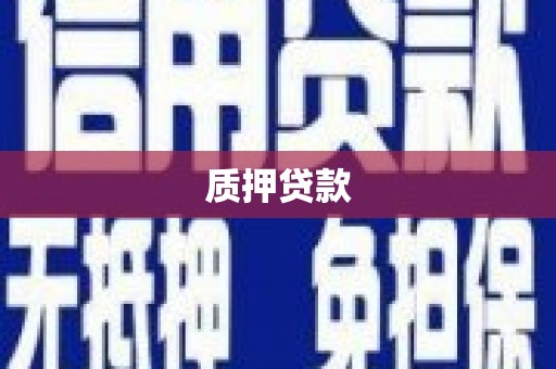两当质押贷款