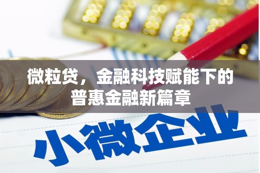 两当微粒贷，金融科技赋能下的普惠金融新篇章