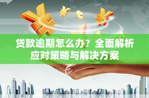 两当贷款逾期怎么办？全面解析应对策略与解决方案