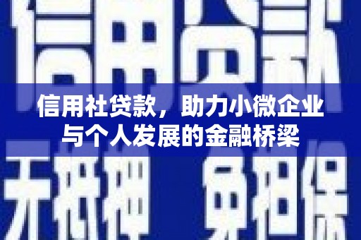 两当信用社贷款，助力小微企业与个人发展的金融桥梁