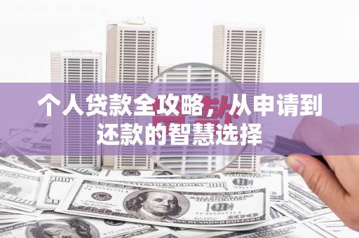 两当个人贷款全攻略，从申请到还款的智慧选择