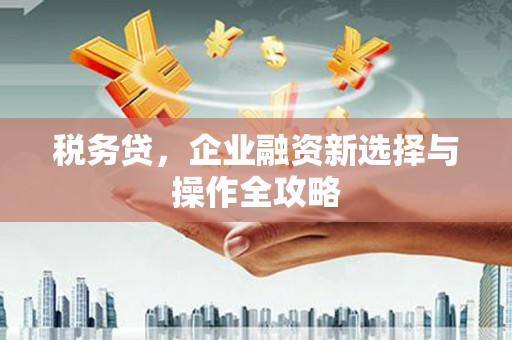 两当税务贷，企业融资新选择与操作全攻略