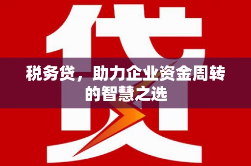 两当税务贷，助力企业资金周转的智慧之选