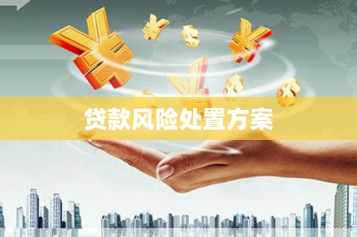 两当贷款风险处置方案