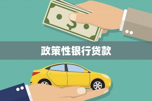 两当政策性银行贷款