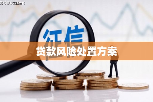 两当贷款风险处置方案
