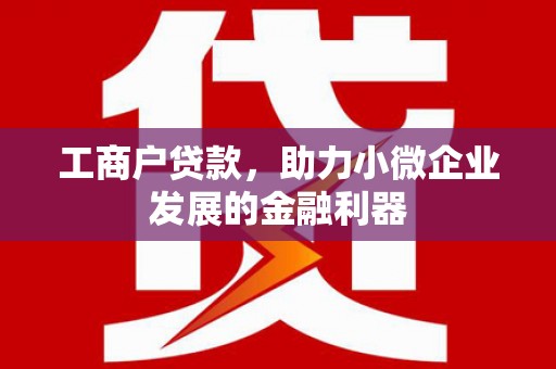 两当工商户贷款，助力小微企业发展的金融利器