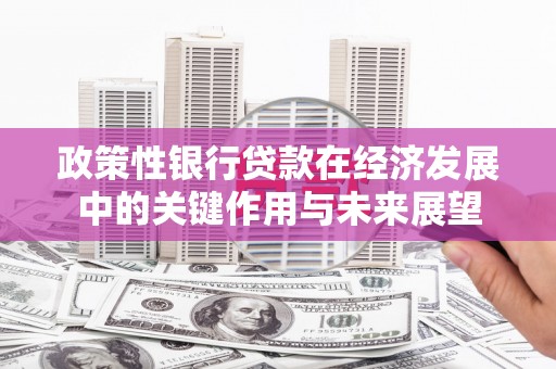 两当政策性银行贷款在经济发展中的关键作用与未来展望