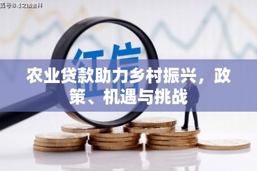 两当农业贷款助力乡村振兴，政策、机遇与挑战