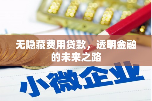 两当无隐藏费用贷款，透明金融的未来之路