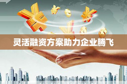 两当灵活融资方案助力企业腾飞