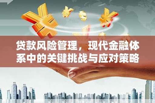 两当贷款风险管理，现代金融体系中的关键挑战与应对策略