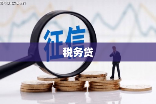 两当税务贷