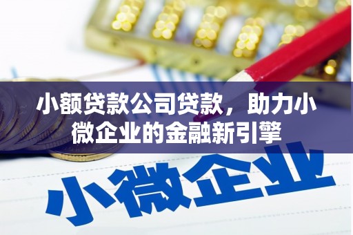 两当小额贷款公司贷款，助力小微企业的金融新引擎