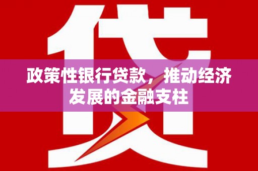 两当政策性银行贷款，推动经济发展的金融支柱