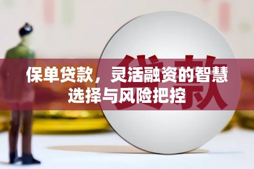 两当保单贷款，灵活融资的智慧选择与风险把控