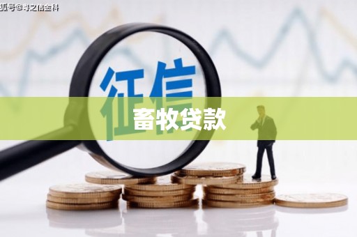 两当畜牧贷款