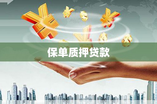 两当保单质押贷款