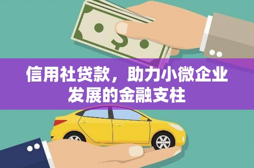 两当信用社贷款，助力小微企业发展的金融支柱