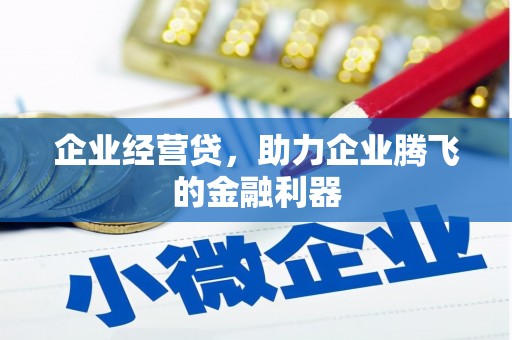 两当企业经营贷，助力企业腾飞的金融利器