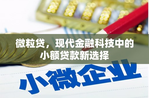 两当微粒贷，现代金融科技中的小额贷款新选择