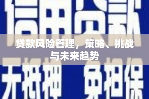 两当贷款风险管理，策略、挑战与未来趋势