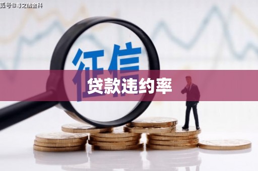 两当贷款违约率