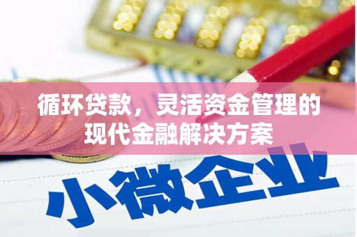 两当循环贷款，灵活资金管理的现代金融解决方案