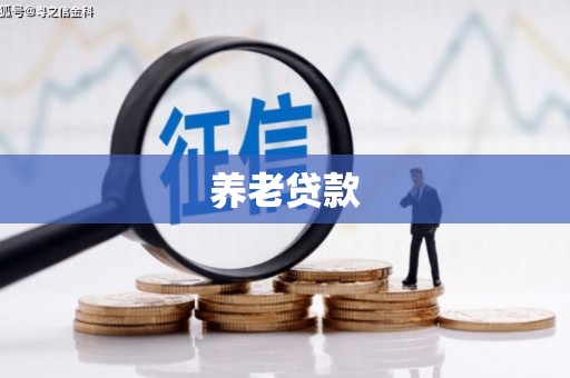 两当养老贷款