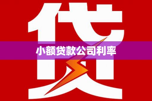 两当小额贷款公司利率