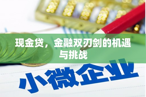 两当现金贷，金融双刃剑的机遇与挑战