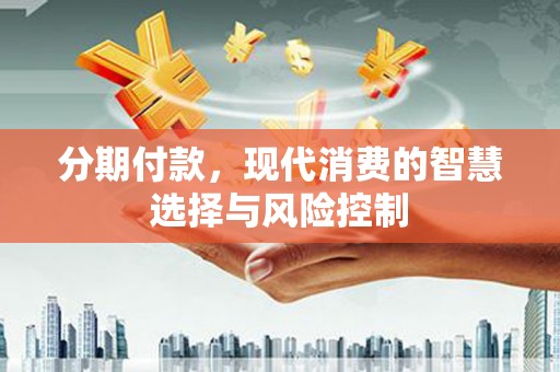 两当分期付款，现代消费的智慧选择与风险控制