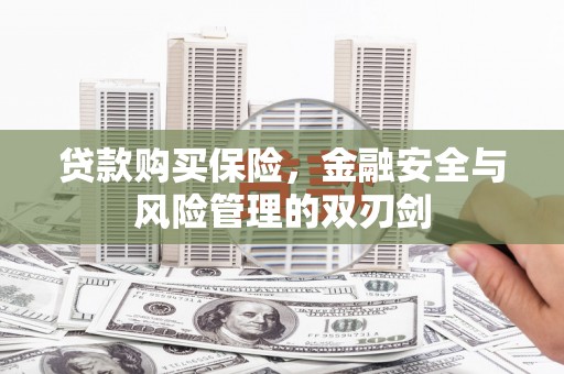 两当贷款购买保险，金融安全与风险管理的双刃剑