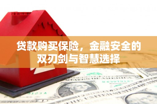 两当贷款购买保险，金融安全的双刃剑与智慧选择