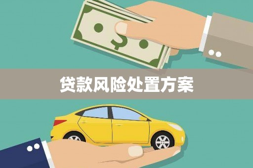 两当贷款风险处置方案