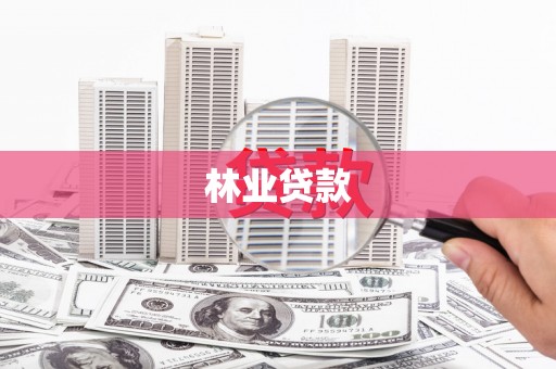 两当林业贷款