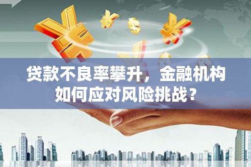 两当贷款不良率攀升，金融机构如何应对风险挑战？