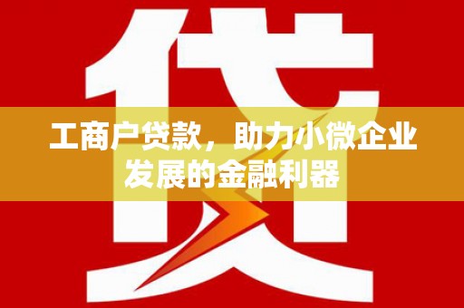 两当工商户贷款，助力小微企业发展的金融利器