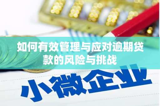 两当如何有效管理与应对逾期贷款的风险与挑战