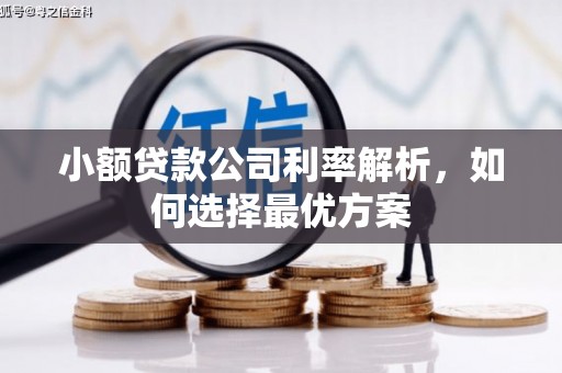 两当小额贷款公司利率解析，如何选择最优方案
