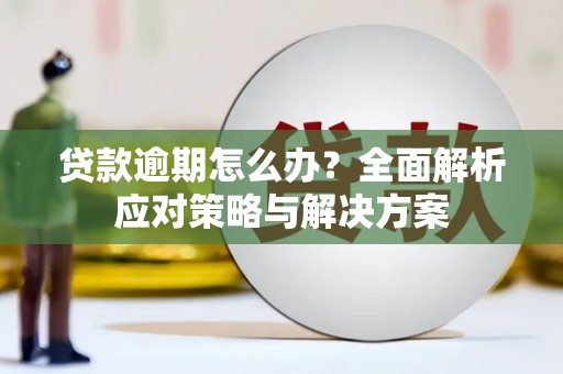 两当贷款逾期怎么办？全面解析应对策略与解决方案
