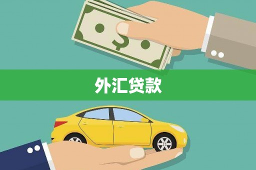 两当外汇贷款