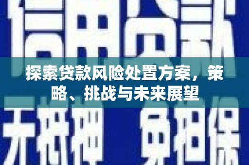 两当探索贷款风险处置方案，策略、挑战与未来展望