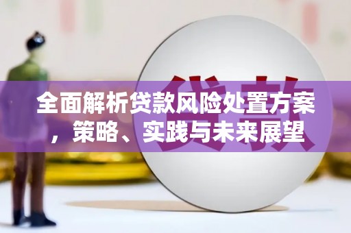 两当全面解析贷款风险处置方案，策略、实践与未来展望