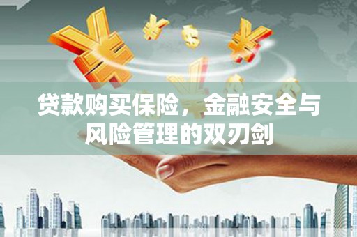 两当贷款购买保险，金融安全与风险管理的双刃剑