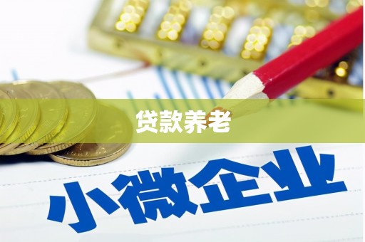 两当贷款养老