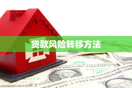 两当贷款风险转移方法