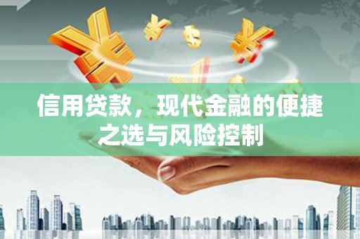 两当信用贷款，现代金融的便捷之选与风险控制