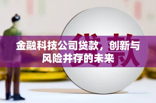 两当金融科技公司贷款，创新与风险并存的未来